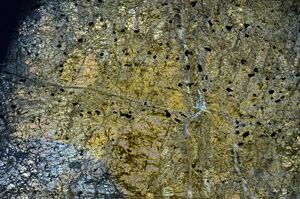Cross Polarized, N7443