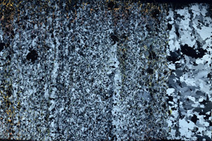 Cross Polarized, N7508