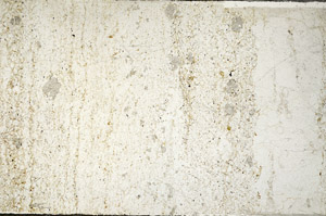 Plane Polarized, N7508