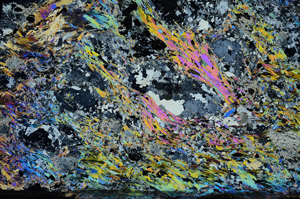 Cross Polarized, N7509