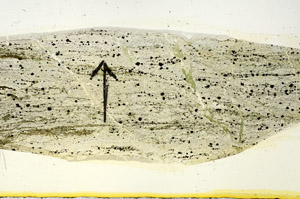 Plane Polarized, N7513/A