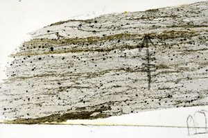 Plane Polarized, N7513/B