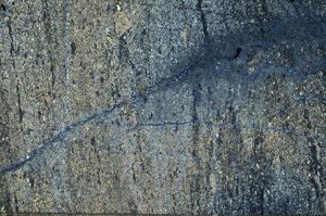 Cross Polarized, N7525