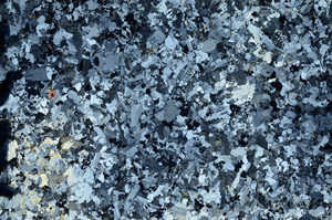 Cross Polarized, N7537