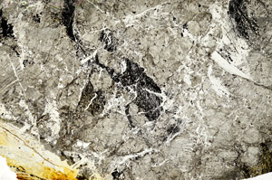 Plane Polarized, N7552