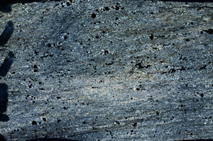 Cross Polarized, N7558