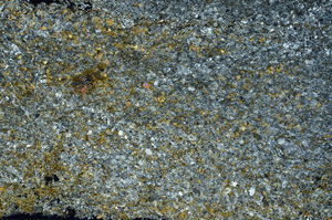 Cross Polarized, N7562