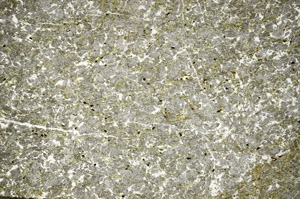 Plane Polarized, N7563