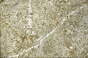 Plane Polarized, N7564
