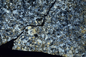 Cross Polarized, N7565