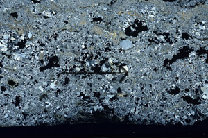 Cross Polarized, N7578/A