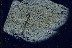 Cross Polarized, N7579