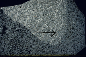 Cross Polarized, N7579/A