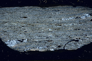 Cross Polarized, N7585