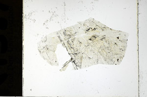Plane Polarized, N7587