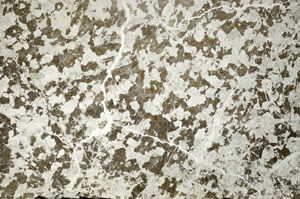 Plane Polarized, N7589