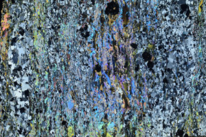 Cross Polarized, N7601