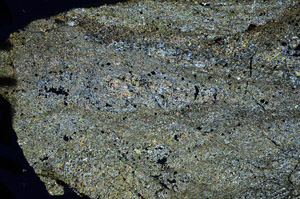 Cross Polarized, N7610