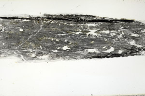 Plane Polarized, N7626/A