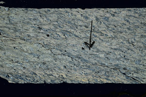 Cross Polarized, N7627