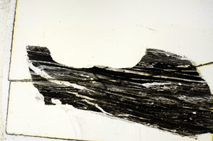 Plane Polarized, N7631