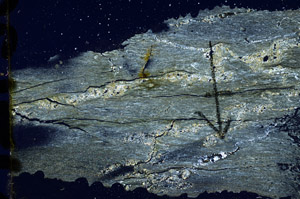 Cross Polarized, N7633