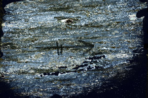 Cross Polarized, N7634