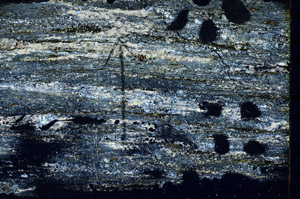 Cross Polarized, N7634/B