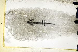 Plane Polarized, N7635