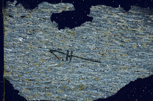 Cross Polarized, N7638