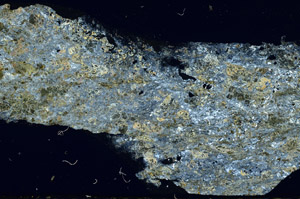 Cross Polarized, N7639/A
