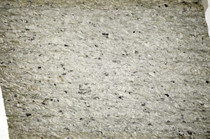 Plane Polarized, N7649