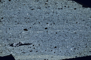 Cross Polarized, N7650