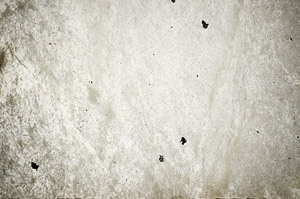 Plane Polarized, N7661