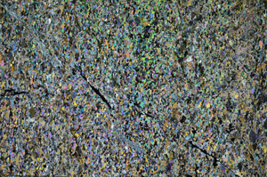 Cross Polarized, N7664