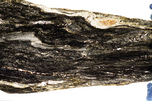 Plane Polarized, N7667