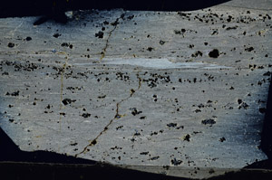 Cross Polarized, N7698