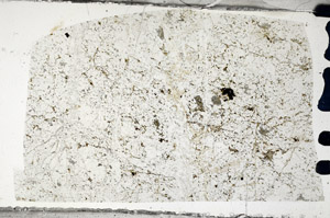 Plane Polarized, N7711