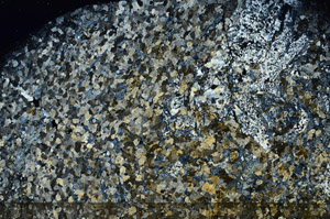 Cross Polarized, N7712