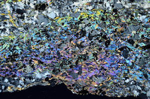 Cross Polarized, N7734