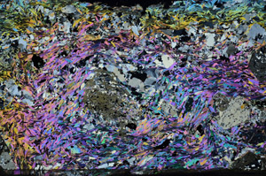 Cross Polarized, N7742