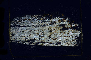 Cross Polarized, N7770