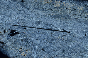 Cross Polarized, N7804