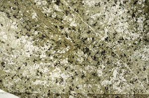 Plane Polarized, N7805