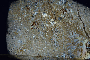 Cross Polarized, N7835
