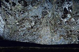 Cross Polarized, N7838