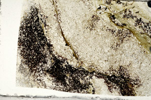 Plane Polarized, N7842