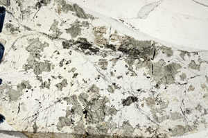 Plane Polarized, N7850