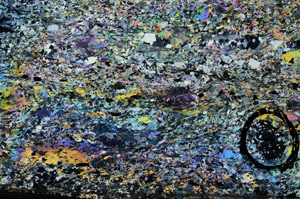 Cross Polarized, N7855