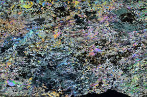 Cross Polarized, N7875